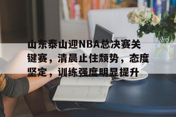 山东泰山迎NBA总决赛关键赛，清晨止住颓势，态度坚定，训练强度明显提升的简单介绍-League of Legends